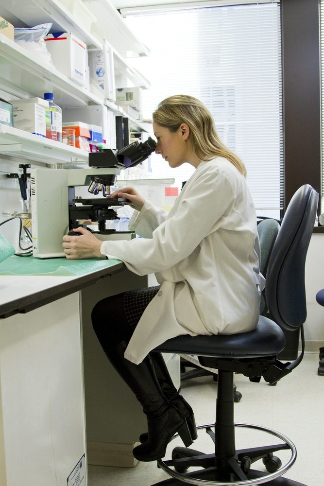 Laboratory review visual reference